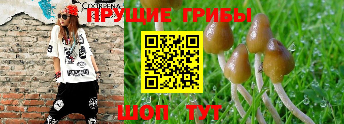 Якутск  Псилоцибиновые грибы Psilocybine cubensis  дарнет шоп  Вход с VPN 